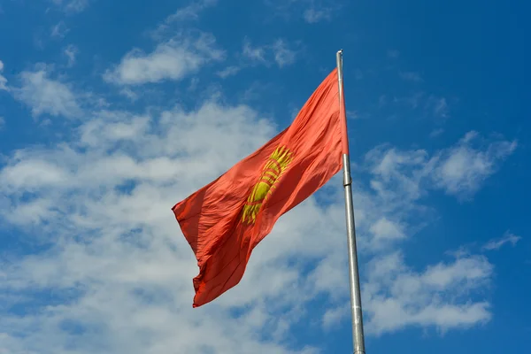 Flag of Kyrgyzstan — Stock Photo, Image