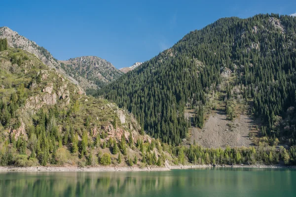 Lago de montaña — Foto de Stock