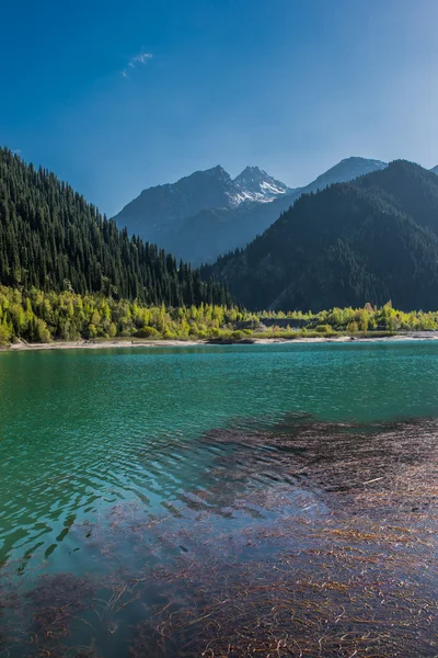 Lago de montaña — Foto de Stock