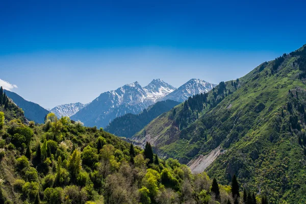 Mountains — Stock Photo, Image