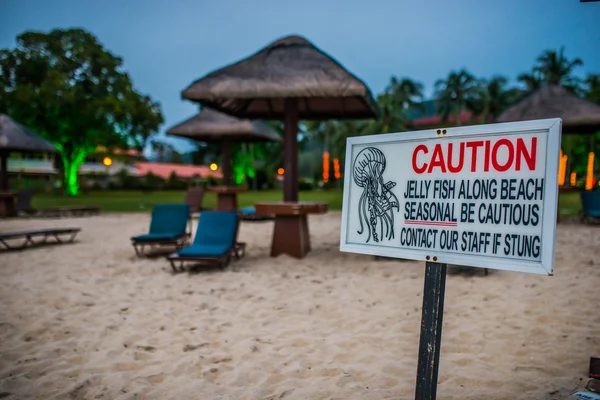 Warning Jellyfish — Stock Photo, Image