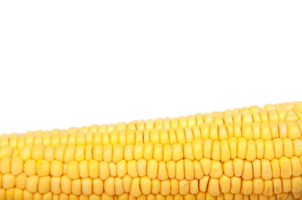 Raw corn — Stock Photo, Image
