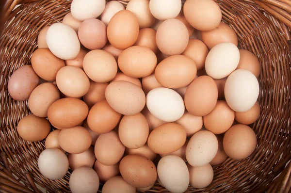 Καφετιά αυγά — Φωτογραφία Αρχείου