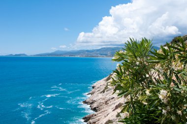 şaşırtıcı manzara