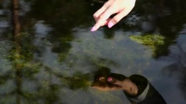 Sessiz gölün sakin su yüzeyine bir kadın eli değdi. Doğayla bağlantı. 