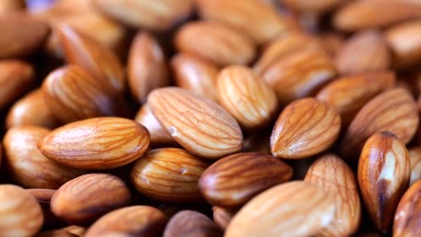 Detailní záběr na rotující namočené mandlové ořechy zdravé jídlo — Stock video