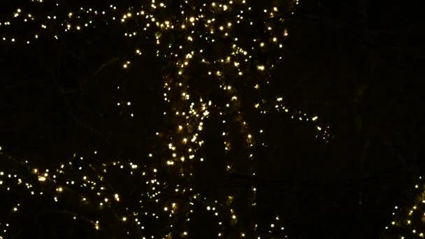 Karácsonyi megvilágított fa fejjel lefelé nézet — Stock videók