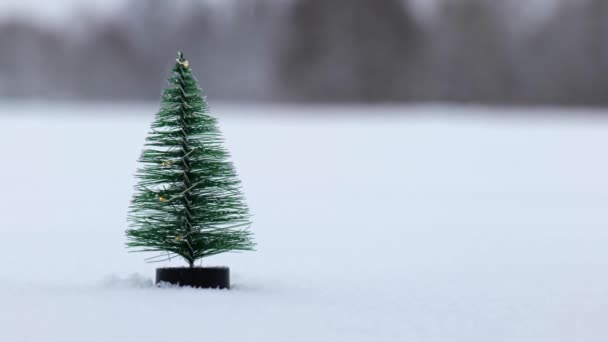 Mini albero di Natale non decorato sulla neve. — Video Stock