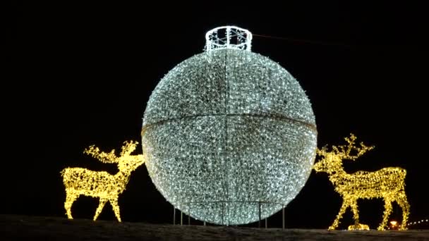 사슴 밝은 축제 크리스마스 일 루미 네이션 — 비디오