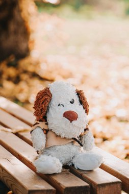 Yumuşak oyuncak köpek tezgahın önüne konur