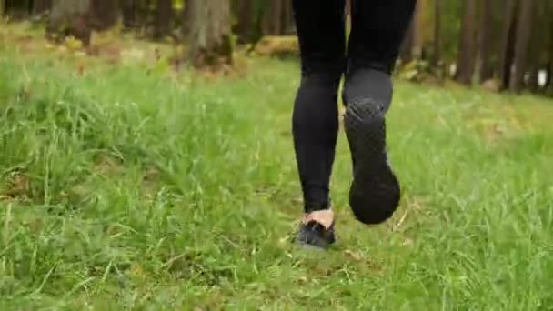 Mujer joven en zapatillas de deporte corriendo en el bosque de otoño — Vídeos de Stock