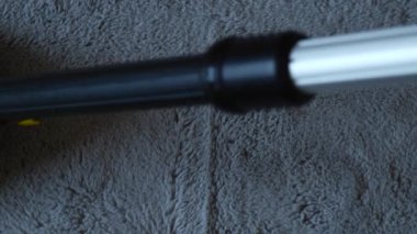 Su süpürgesiyle halı temizleme