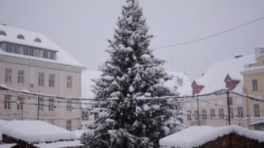 Tallinn. Estonya - 12.5.2021. Old Tallinn 'in ana meydanında Noel ağacı 