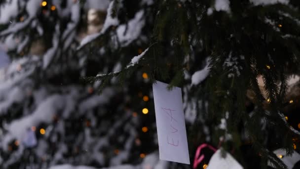 Wish letter for Santa hanging on Christmas tree outdoors — Stock Video