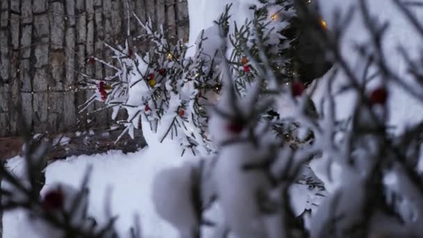 庭の雪の下で飾られたクリスマスツリー — ストック動画