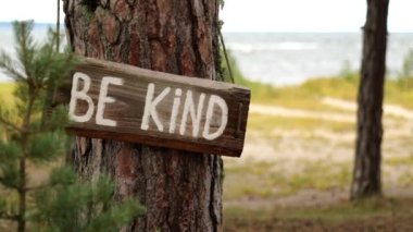 Doğal çam ağaçları orman arka planı. Dinlenmek için huzurlu bir yer.