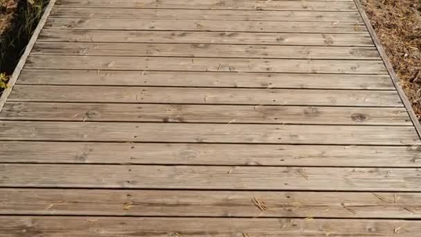 Walking on the wooden flooring — Vídeo de stock
