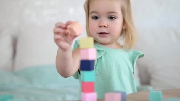 Imádnivaló kislány játszik színes fa kockák — Stock videók