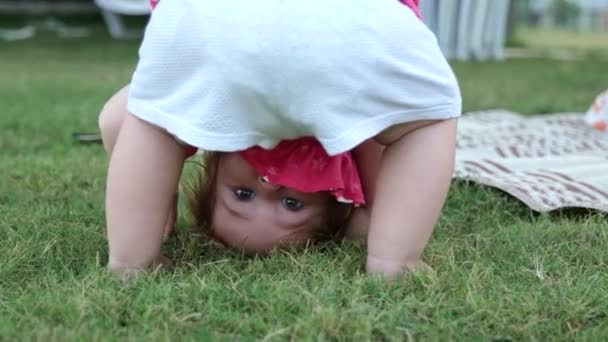 Adorable bébé de 1 an debout à l'envers sur l'herbe verte. — Video