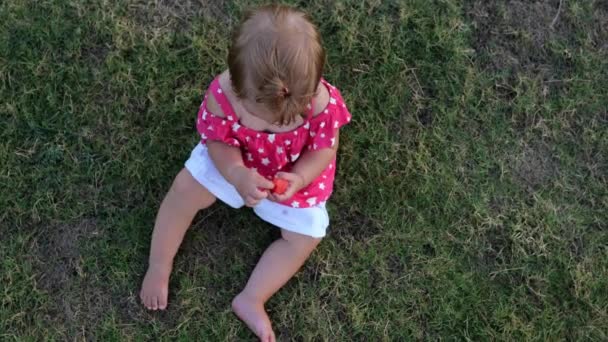 Очаровательная малышка сидит на траве — стоковое видео