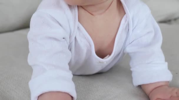 Adorable 6 month baby laying on stomach on sofa — Stock Video