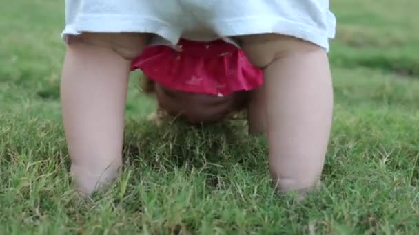 Αξιολάτρευτο 1 χρόνο μωρό στέκεται ανάποδα στο πράσινο γρασίδι. — Αρχείο Βίντεο