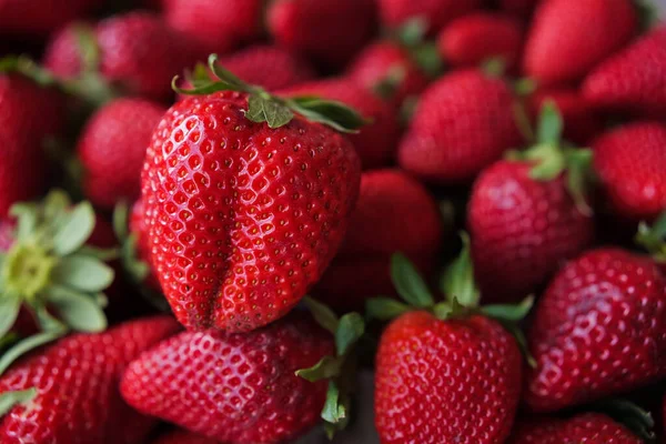 Köstliche Große Reife Rote Erdbeeren Auf Dem Teller Eine Beere — Stockfoto