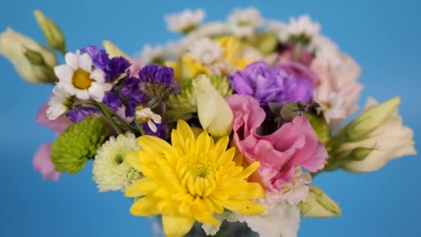 Mavi Arka Planda Renkli Yaz Çiçeklerinin Rotasyonu Evde Taze Yaz — Stok video