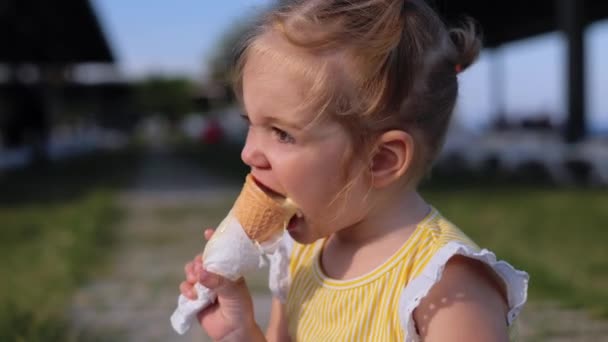 Adorable Years Old Girl Eating Ice Cream Outdoors Park Summer — Video Stock