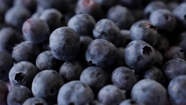 Closeup Fresh Tasty Blueberries Rotation Healthy Eating Summer Fruits Berries — 图库视频影像