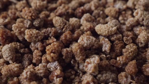 Dry Mulberries Rotation Background Healthy Eating — Wideo stockowe