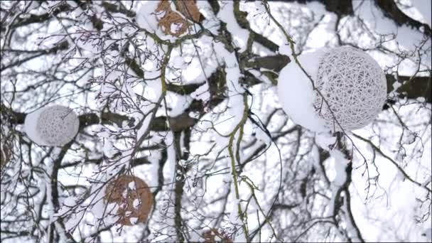 Zimní Městský Park Strom Zdobený Velkými Krásnými Míčky Padá Sníh — Stock video