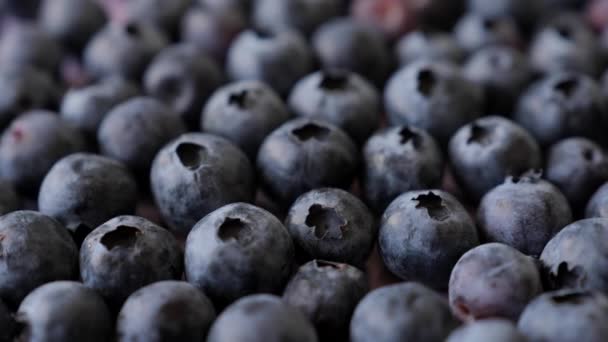 Closeup Fresh Tasty Blueberries Rotation Healthy Eating Summer Fruits Berries — Vídeos de Stock