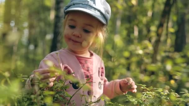 Adorable Little Girl Collecting Eating Ripe Blueberries Bush Forest Healthy — Stok video