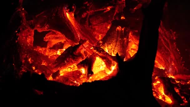 Closeup Bonfire Flames Fire Celebration Night Ancient Bonfires Estonia Last — Vídeo de stock
