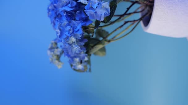Прекрасна Блакитна Гортензія Або Квітка Гортензія Білому Горщику Вигляд Наполовину — стокове відео