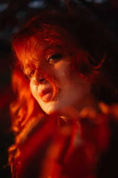 Kızıl sonbahar yapraklı mistik fantezi kızıl saçlı kadın. Çekici bir kadın, yüzünde kızıl uzun saçlar. Cadılar bayramı çekici güzel cadı sonbahar ormanında.