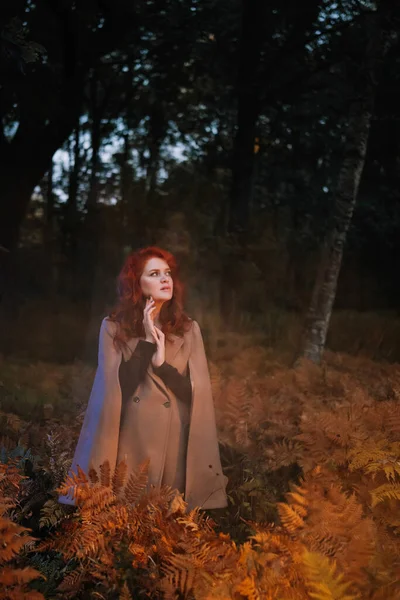 Vörös Hajú Bézs Kabátban Őszi Erdőben Gyönyörű Álomszép Hölgy Áll Jogdíjmentes Stock Fotók