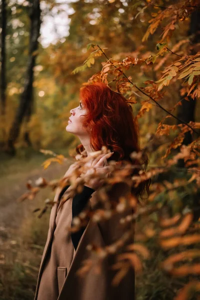 Closeup Side Profile Portrait Beautiful Autumn Woman Dyed Red Hair — Stock Photo, Image