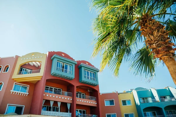 Colourful houses and palm tree in Hurghada, Egypt against blue sky.