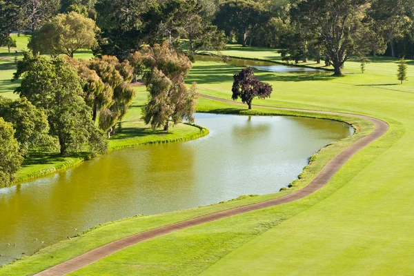 Terrain de golf et étang Image En Vente