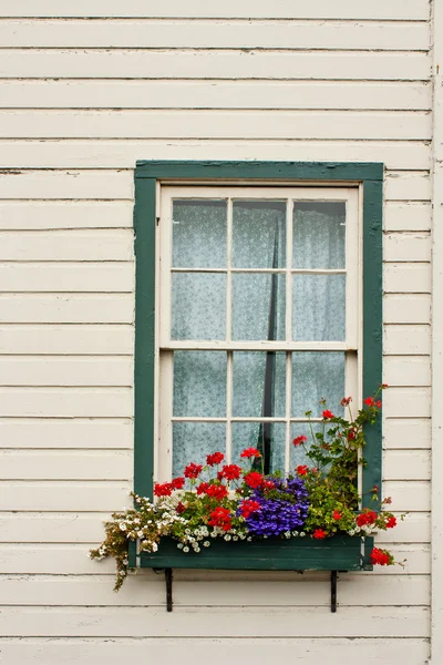 Venster doos met bloemen — Stockfoto