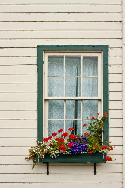 Окно коробки с цветами — стоковое фото