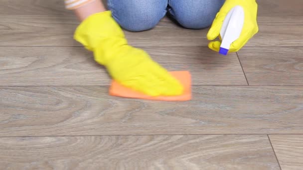 Woman hand washing the floor with a rag close-up — Stock Video