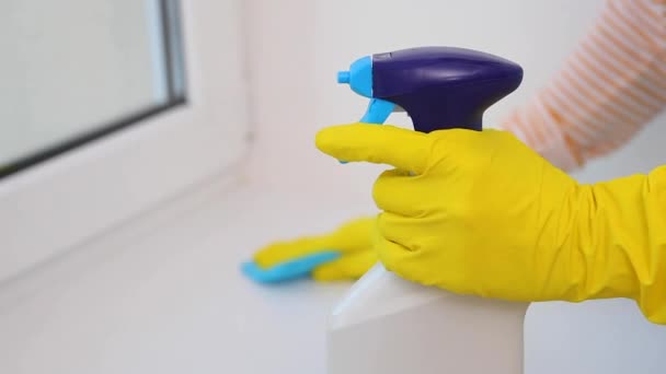 Mujer haciendo limpieza limpia el alféizar de la ventana de cerca — Vídeos de Stock