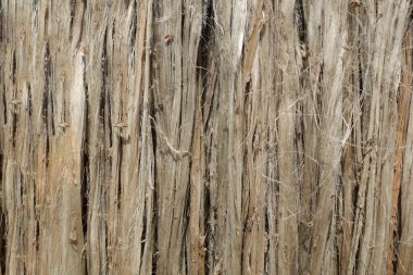 Çiğ jüt lifinin yakın görüntüsü. Çürümüş kenevir suyla yıkanır ve güneşte kurur. Kahverengi jüt fiber dokusu ve ayrıntılı arkaplan.