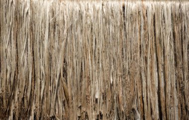 Çiğ jüt lifinin yakın görüntüsü. Çürümüş kenevir suyla yıkanır ve güneşte kurur. Kahverengi jüt fiber dokusu ve ayrıntılı arkaplan.