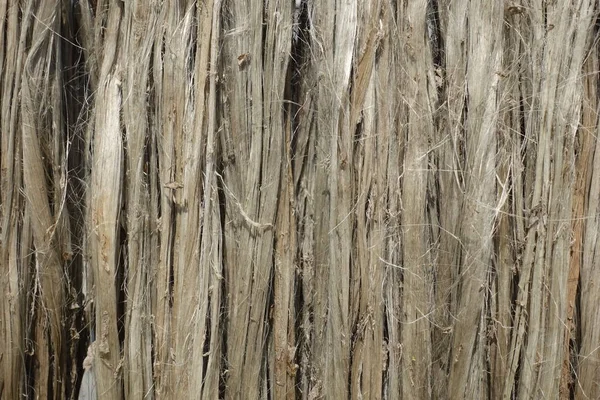 Closeup view of raw jute fiber. Rotten jute is being washed in water and dried in the sun. Brown jute fiber texture and details background.