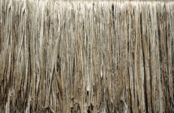 Closeup view of raw jute fiber. Rotten jute is being washed in water and dried in the sun. Brown jute fiber texture and details background.