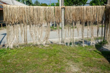 Jüt lifleri geleneksel yöntemlerle yol kenarında güneşte kurutuluyor. Jute yolun her iki tarafında da güneşte kurutuluyor.. 
